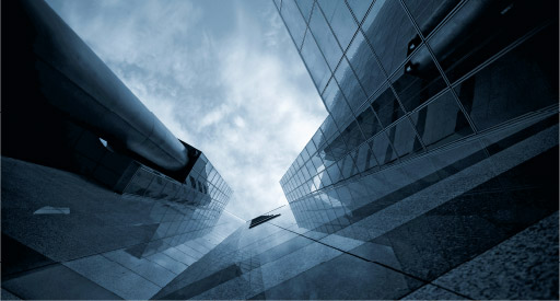 Our Vision